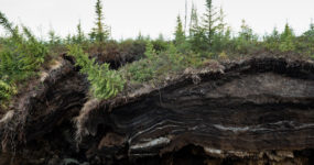 Erosion occurs along the banks of the Koyukuk River i